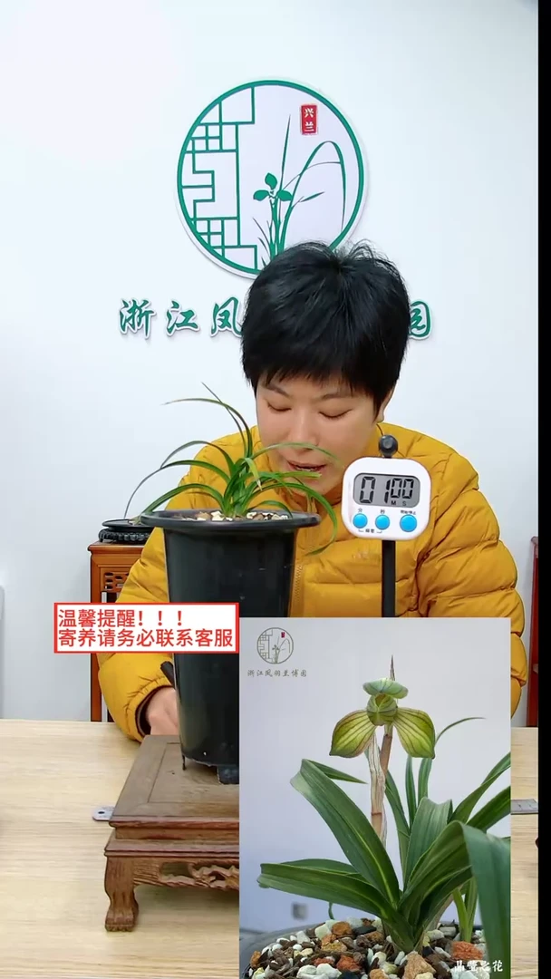 【闪购商品】晶莹之花，，温然而恭