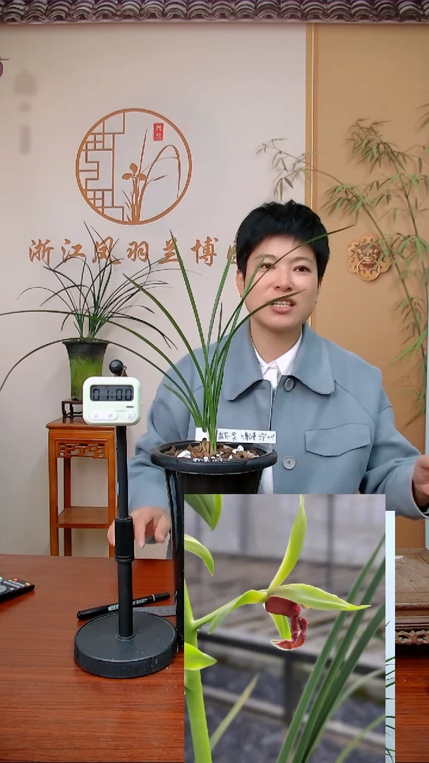 【闪购商品】至尊红颜,拈花一笑
