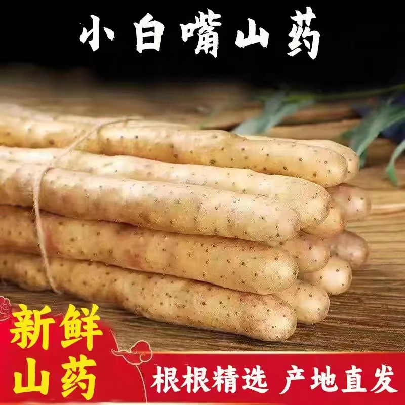 河北小白嘴山药产地现挖现发淮山药粉糯香甜新鲜现挖现发5斤包邮