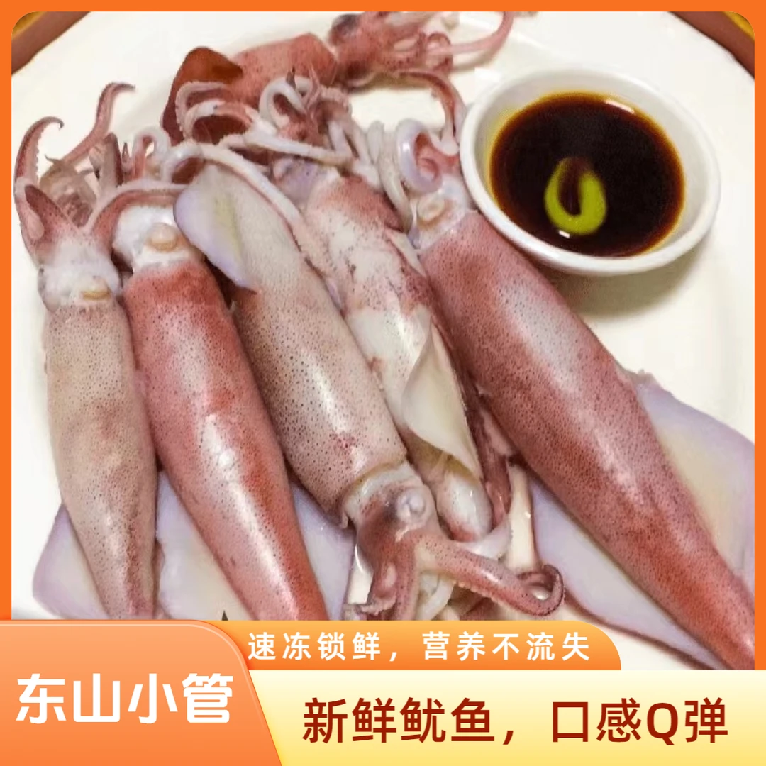 鱿鱼母新鲜火箭鱿鱼海鲜水产品手钓大管鱿鱼八爪鱼连云港急冻锁鲜