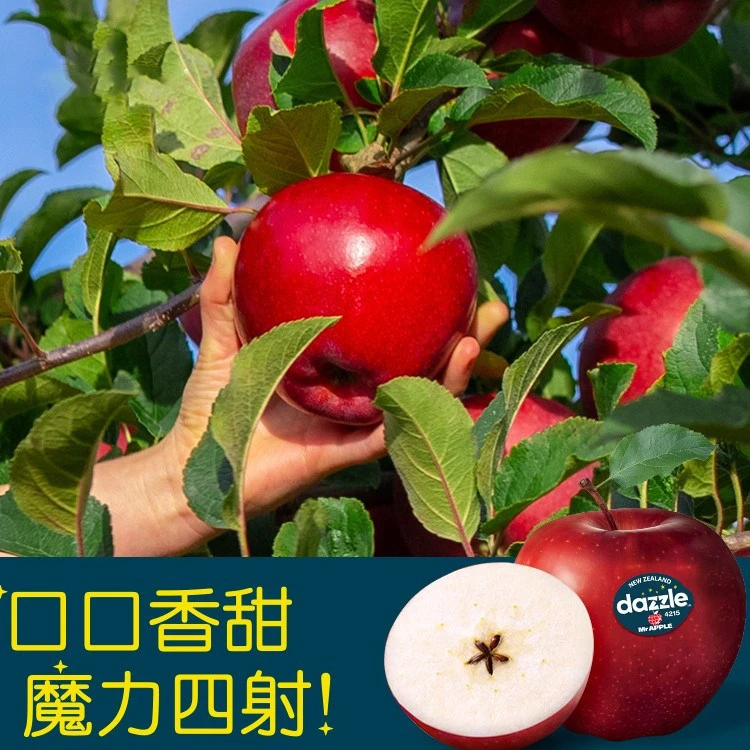 森叔源选 新西兰当季限定DAZZLE纯甜多汁劲脆3/5斤装【顺丰包邮】