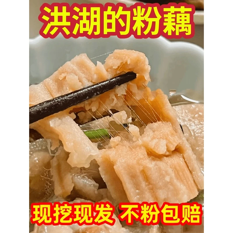 洪湖粉藕莲藕新鲜煲汤藕5斤现挖正宗湖北九孔红藕糯米藕炖汤面藕