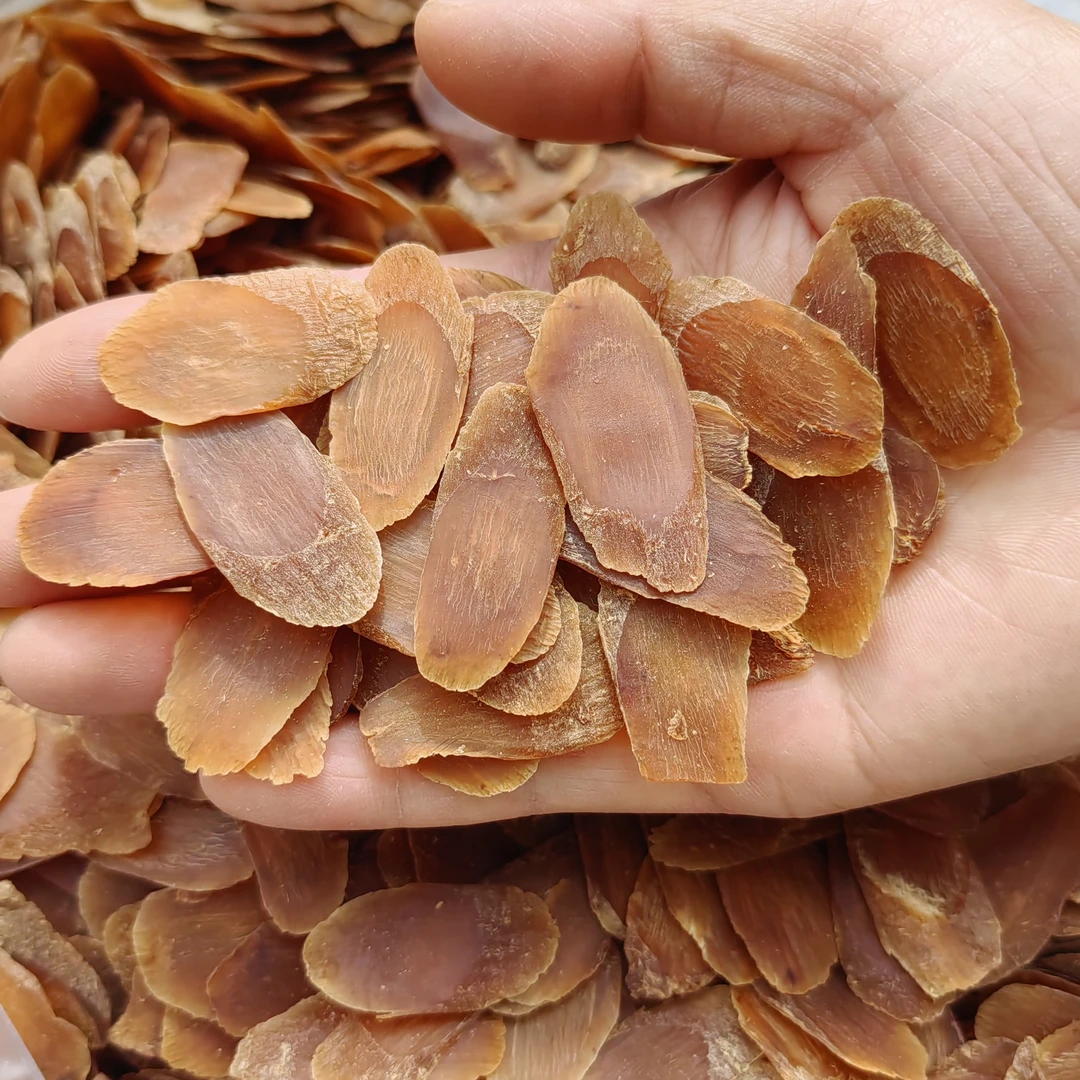 人参（熟制 ）  切片