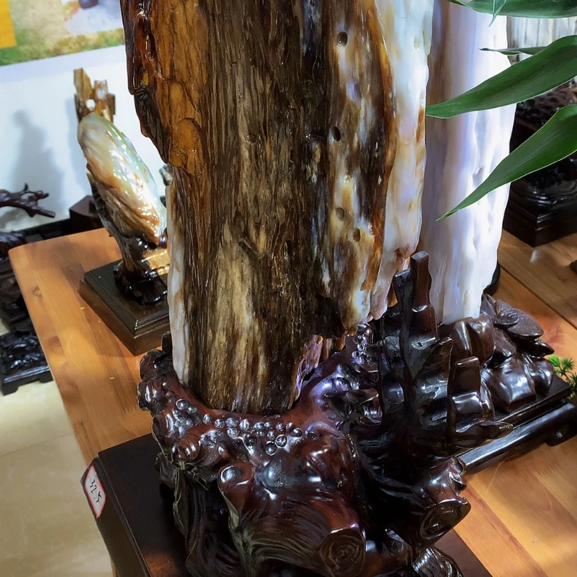【闪购商品】硅化玉（树化玉）珠宝奇石未镶嵌石****6