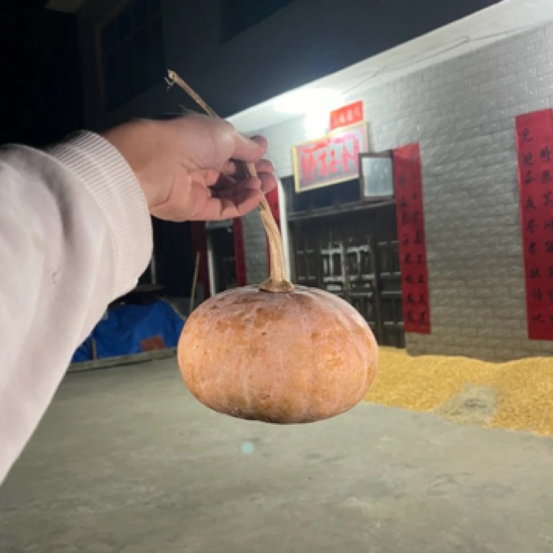 生态农家老南瓜薄皮香糯应季新鲜直供