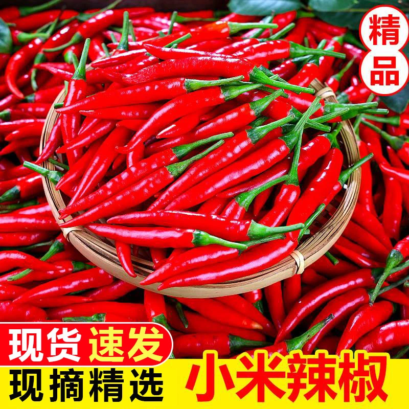 【新鲜采摘】小米辣椒特辣小米椒朝天椒超辣红辣椒指天椒100g-5斤