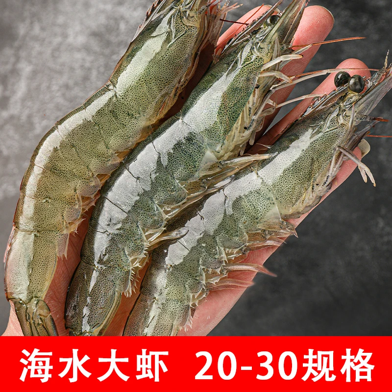 20-30大虾 青岛 15-18厘米 共45-60只左右 含一斤保护冰 顺丰发22