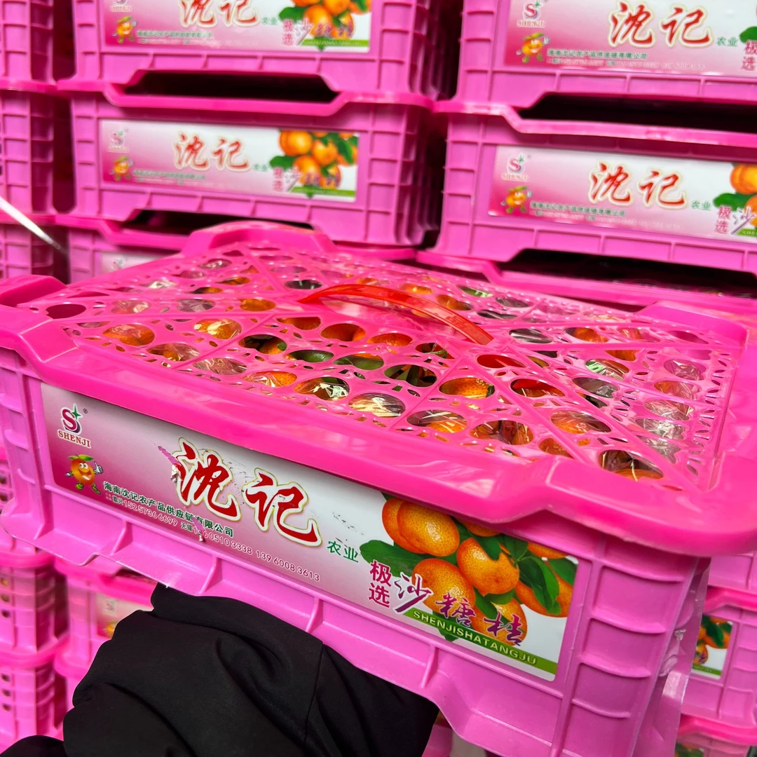 【顺丰包邮】沈记沙糖桔 一箱净重4.8斤左右