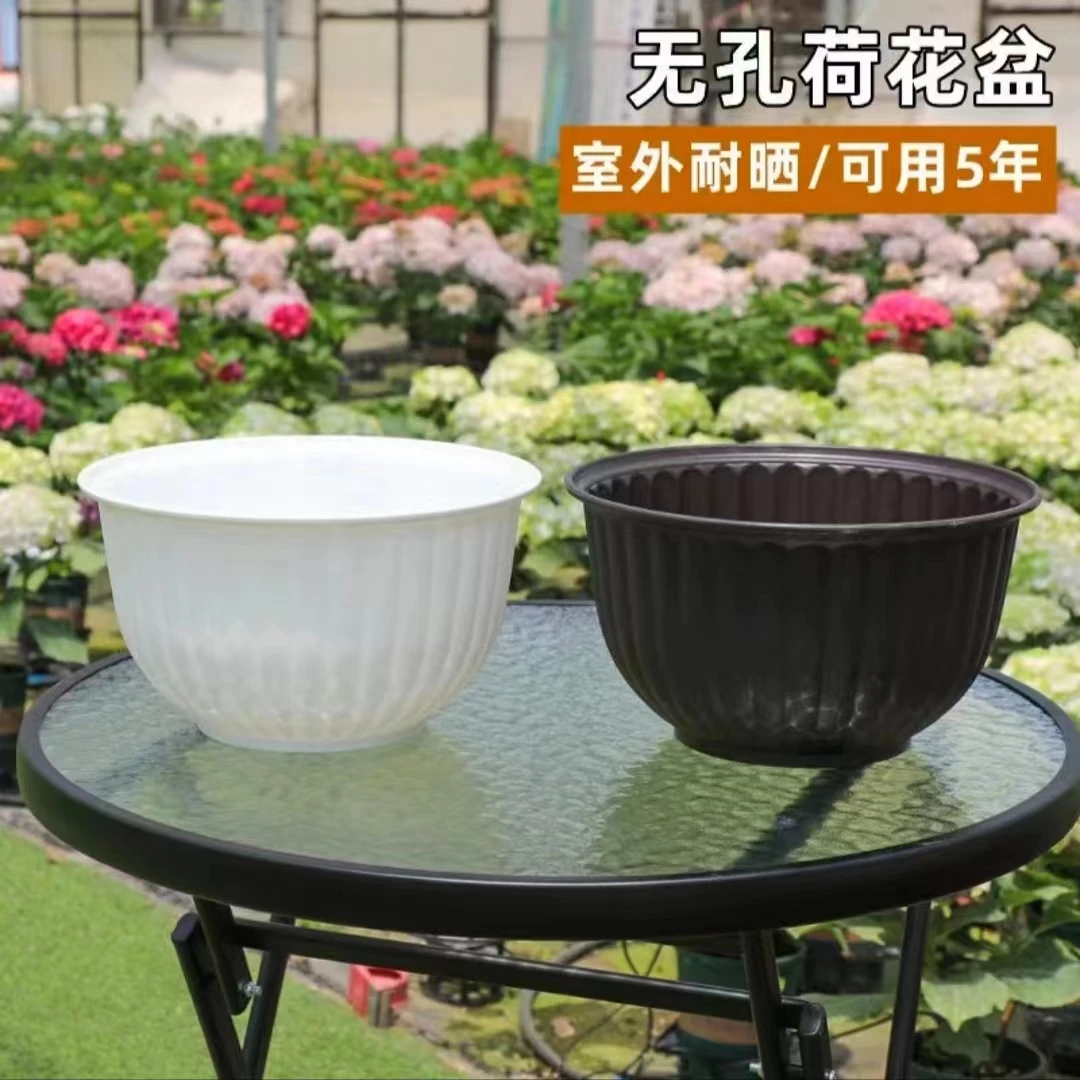 矮款水培盆植物花盆懒人盆铜钱草睡莲碗莲专用盆无孔不漏水养鱼