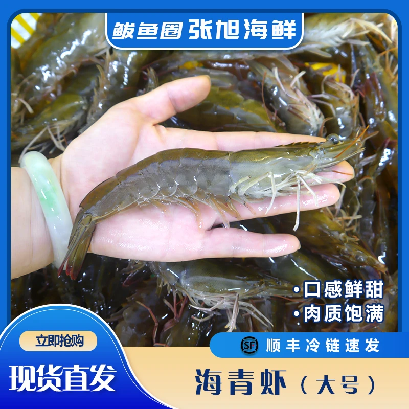 海水虾 顺丰冷连