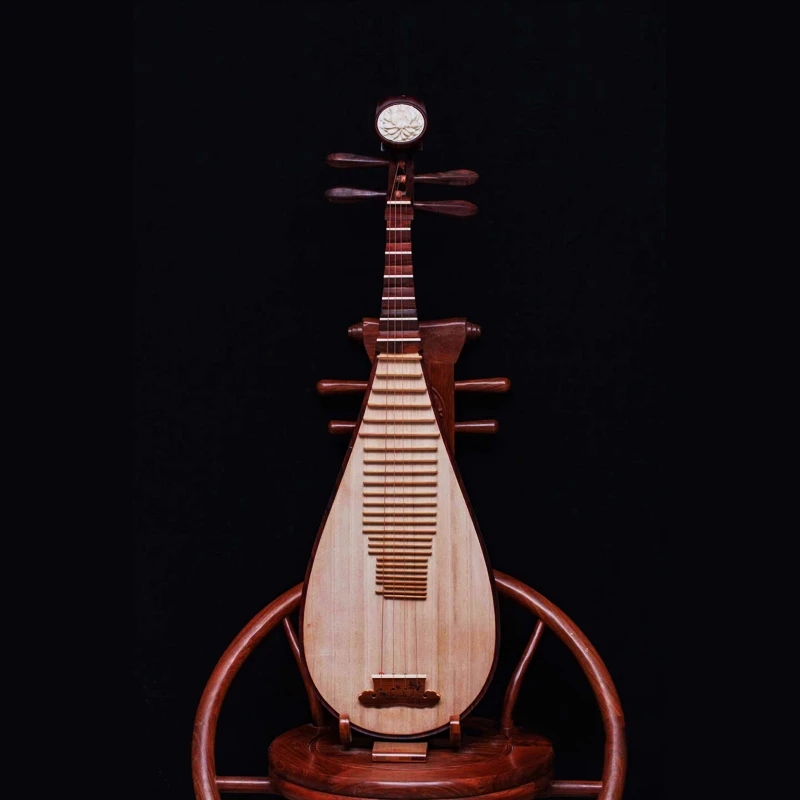 清雅韦金凤老师推荐黑酸枝琵琶乐器专业演奏考级专用收藏级琵琶琴