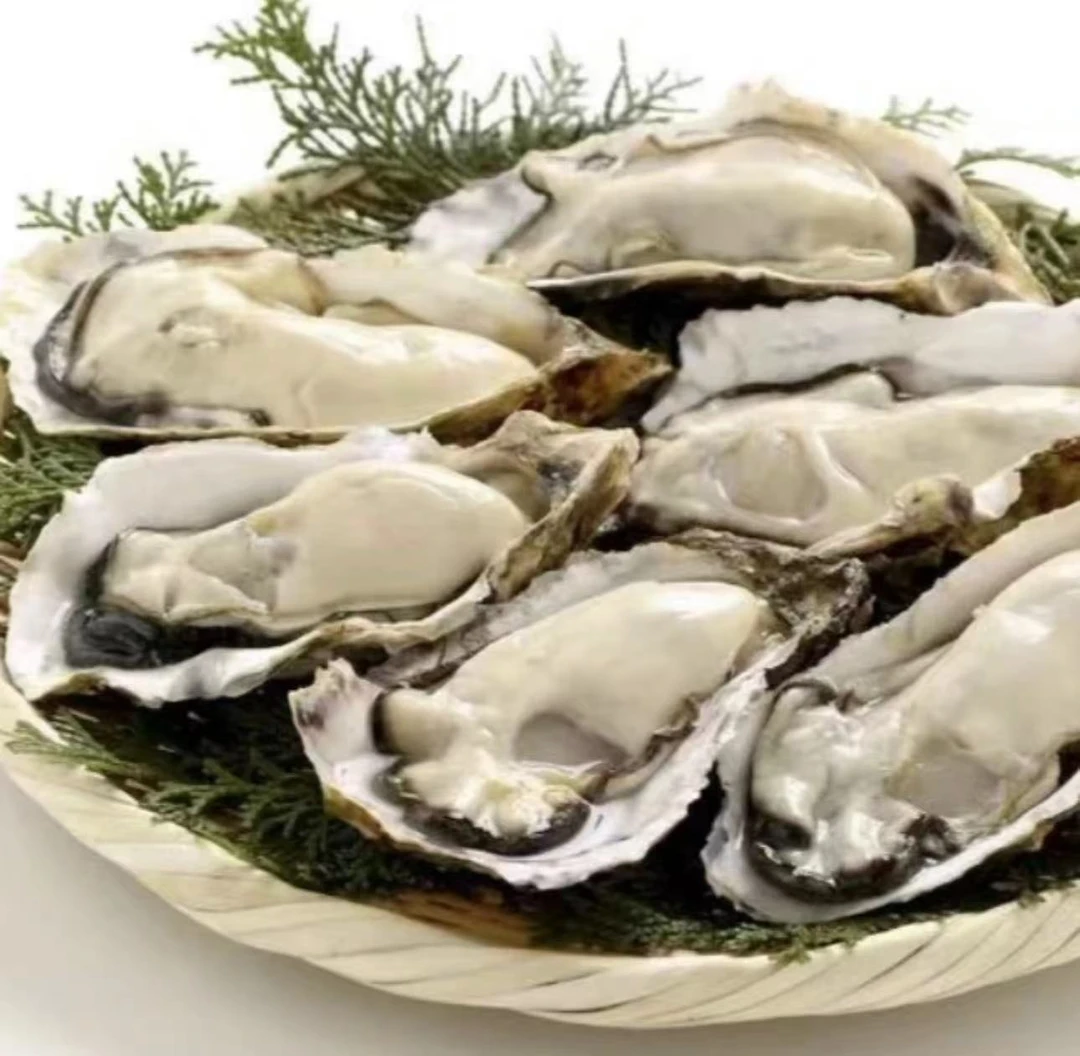 鲜活乳山生蚝1个（约2+两）默认不杀