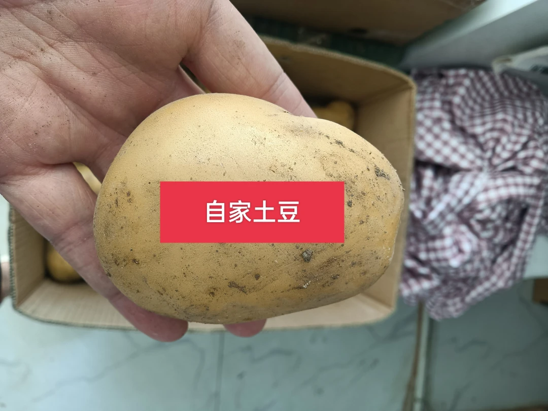 【大果】自家种植，4斤，顺丰包邮