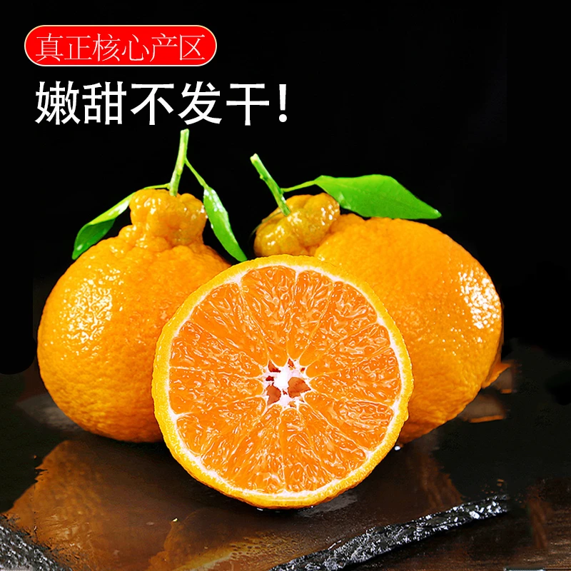 春见现摘耙耙柑脆甜新鲜水果当季应季丑桔橘子薄皮9甜1酸自然成熟