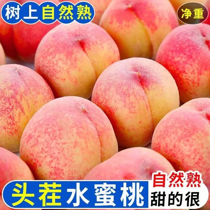 陕西新鲜水蜜桃3斤/4.5斤装孕妇应季水果鲜嫩清甜多汁现摘现发美