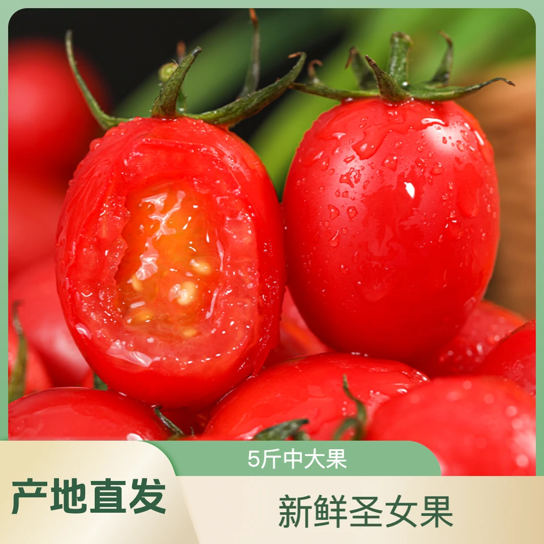 【5斤中大果】新鲜圣女果小番茄西红柿广西农家现摘水果产地直发