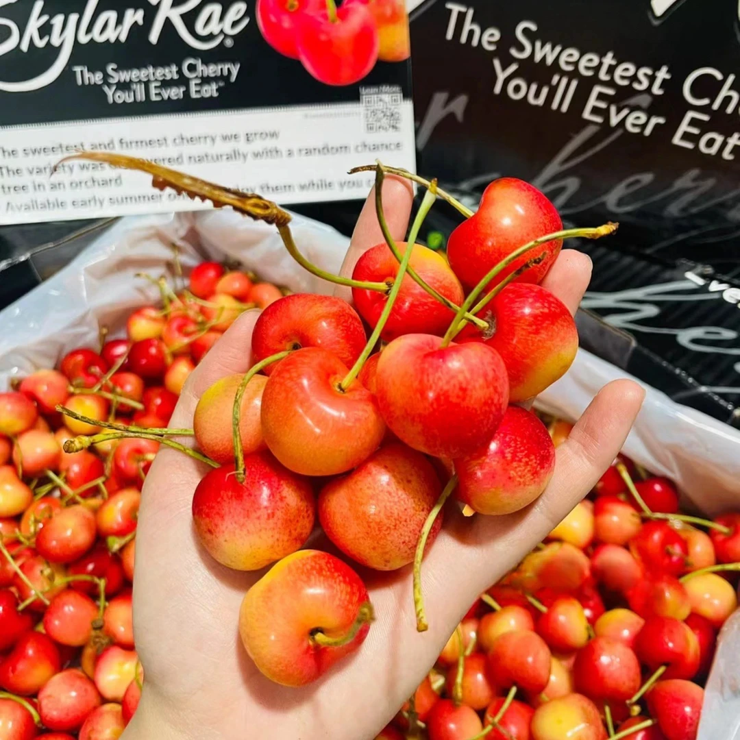 【智利金车3J】RAINIER雷尼尔智利空运“黄金车厘子” XL-JJJ顺丰包邮