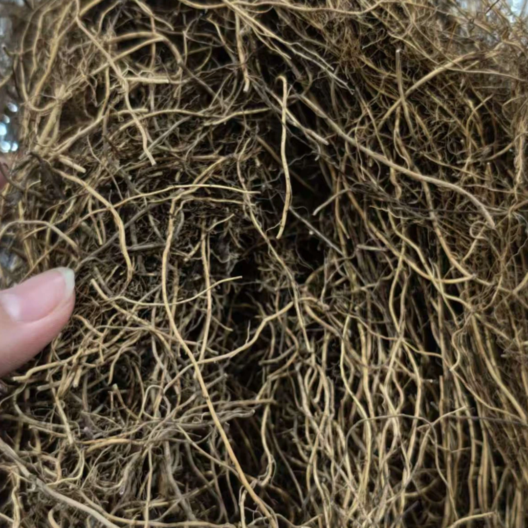 整条去头北细辛农产品道地辽细辛 根