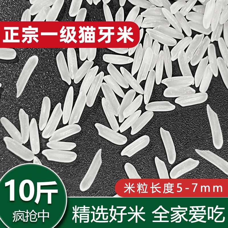 现磨现发猫牙米不抛光正宗长粒香大米10斤超长粒江苏大米新米