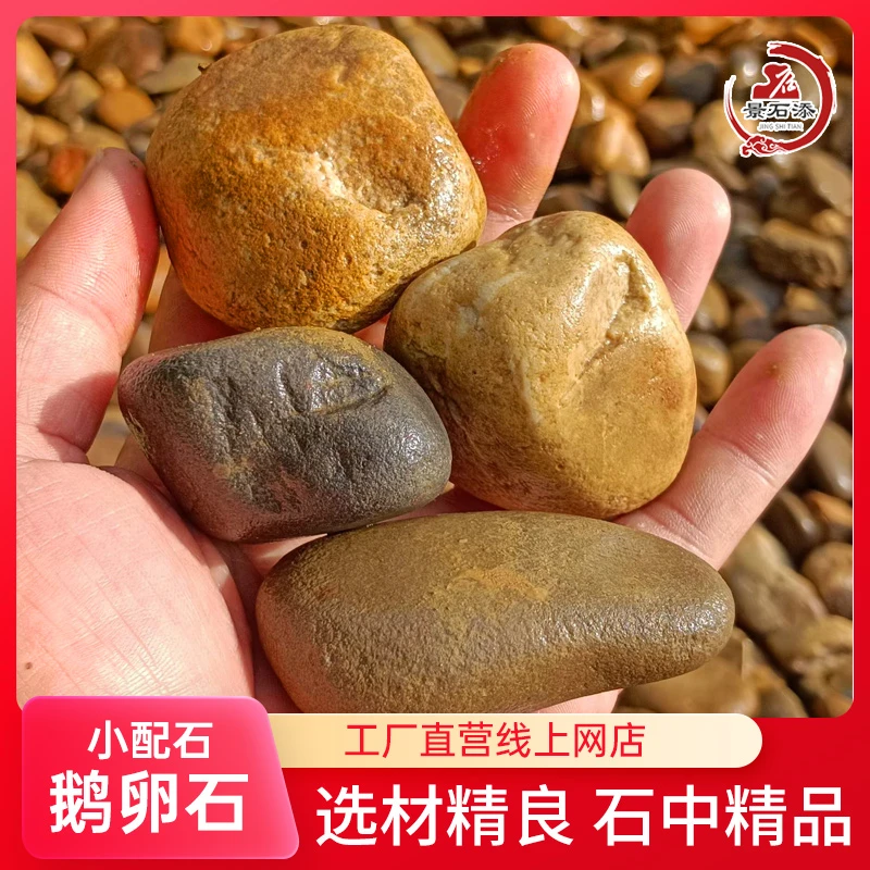 多种鹅卵石铺路工程园林造景庭院装饰天然河道过滤小石头景观石