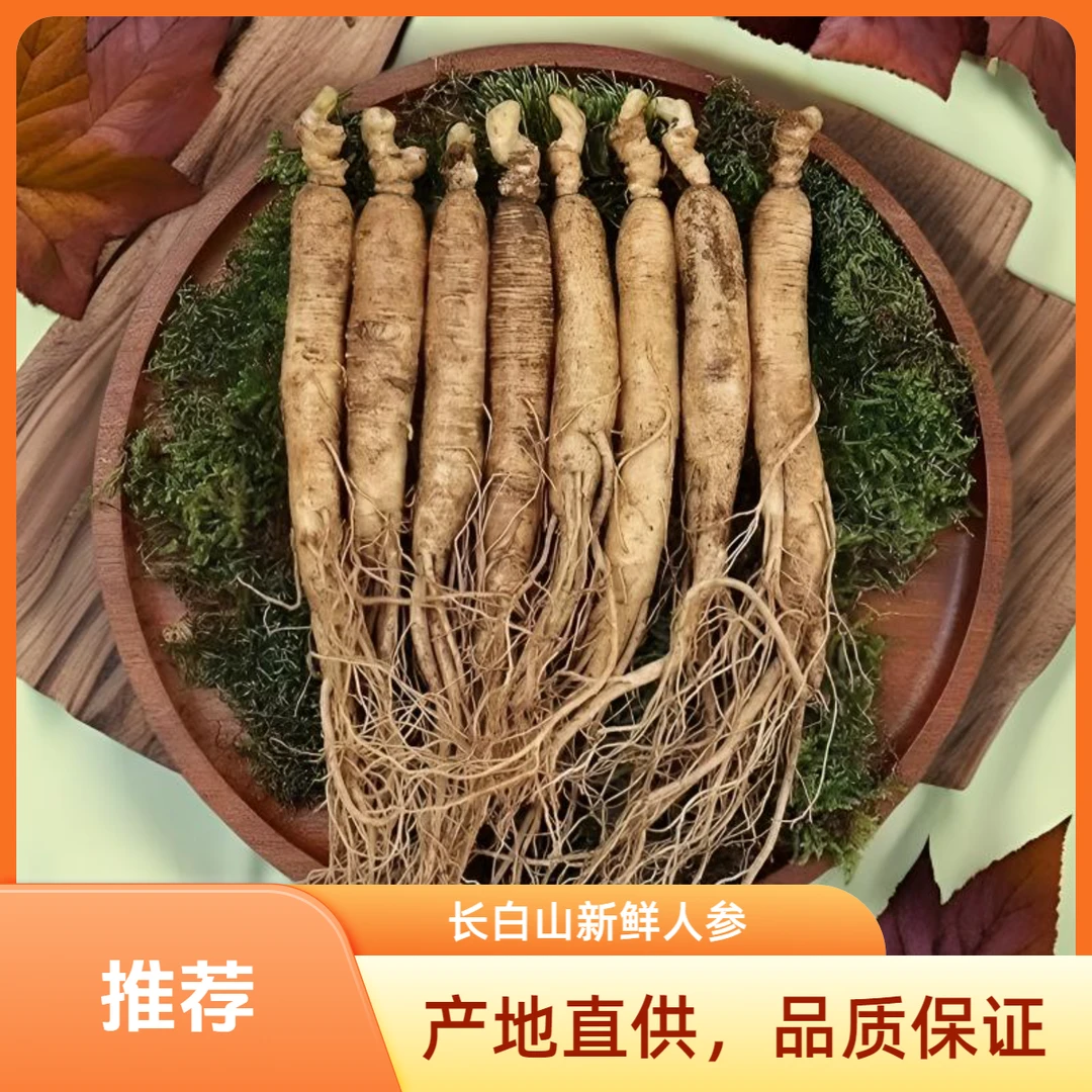 1.1【20支长白山人参】原产地发货人参单根6g左右人参煲汤泡水泡酒