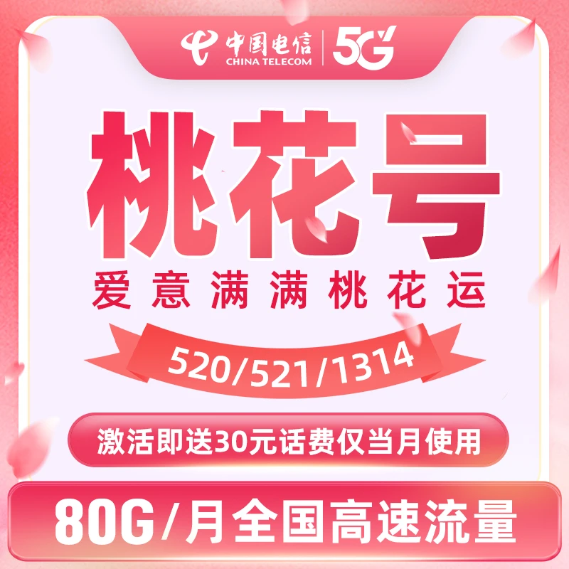 【桃花号】湖南电信星卡月享80GB流量财富号上网卡陈陈