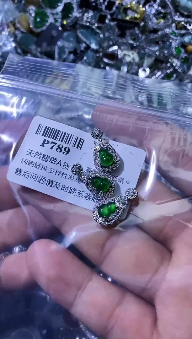 【闪购商品】翡翠颈饰未镶嵌P789多样性发其一