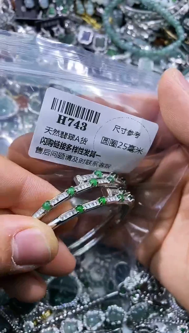 【闪购商品】翡翠颈饰未镶嵌H743手镯 多样性发其一