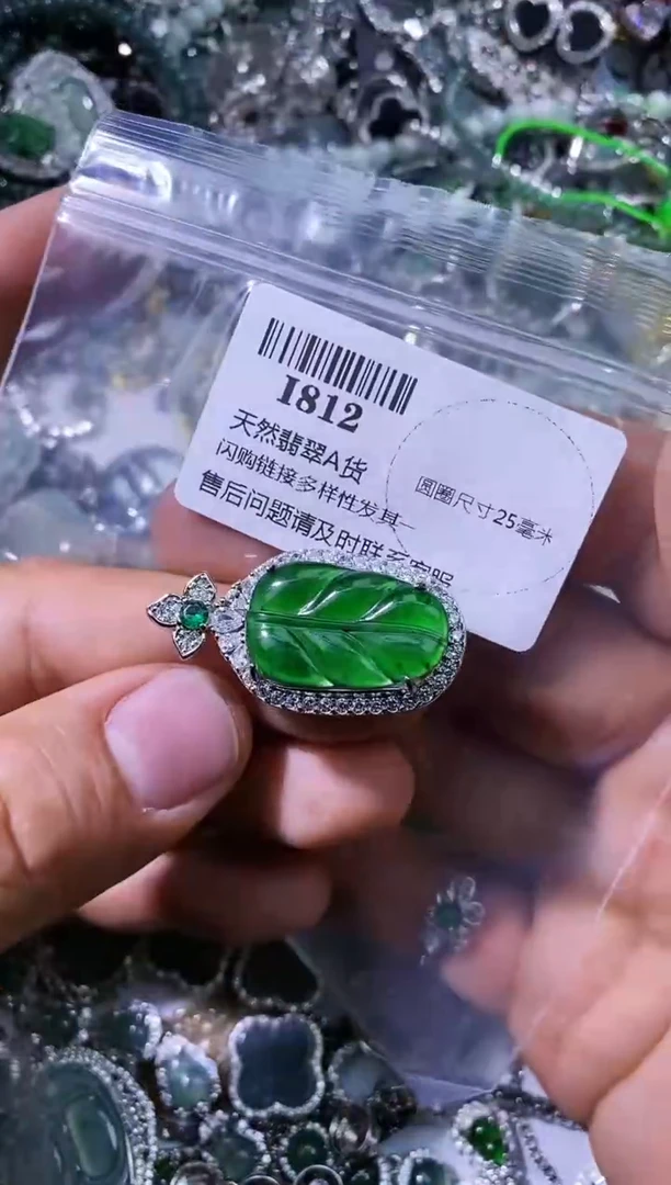 【闪购商品】翡翠颈饰未镶嵌I812基地