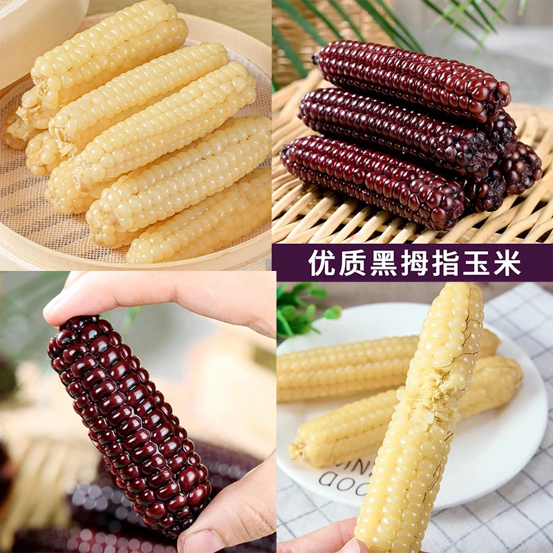 【紫糯拇指玉米+白糯拇指玉米组合】新鲜拇指小玉米真空即食主食1斤