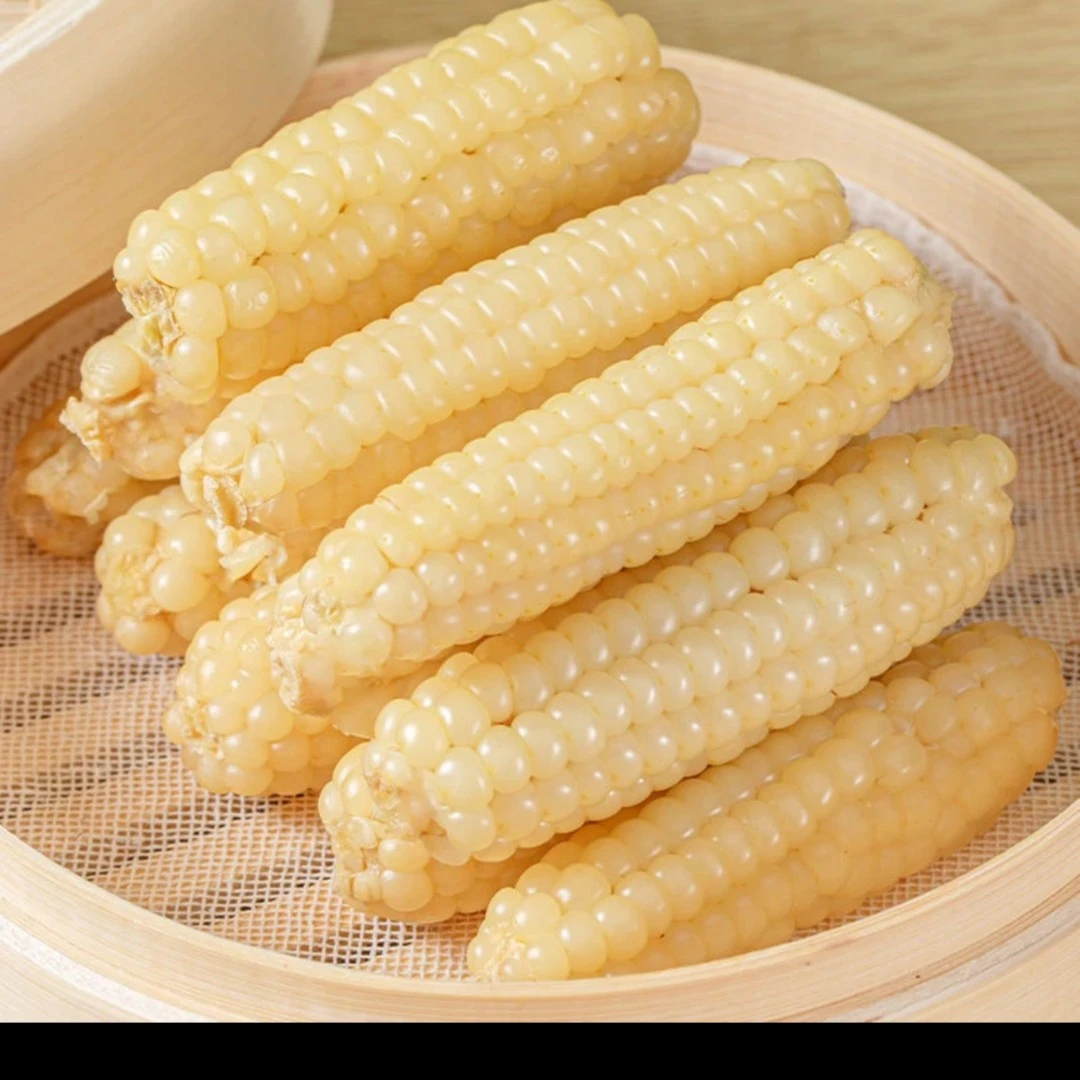 【专属新人福利】拇指小玉米真空锁鲜即食玉米香甜软糯主食120g/2斤