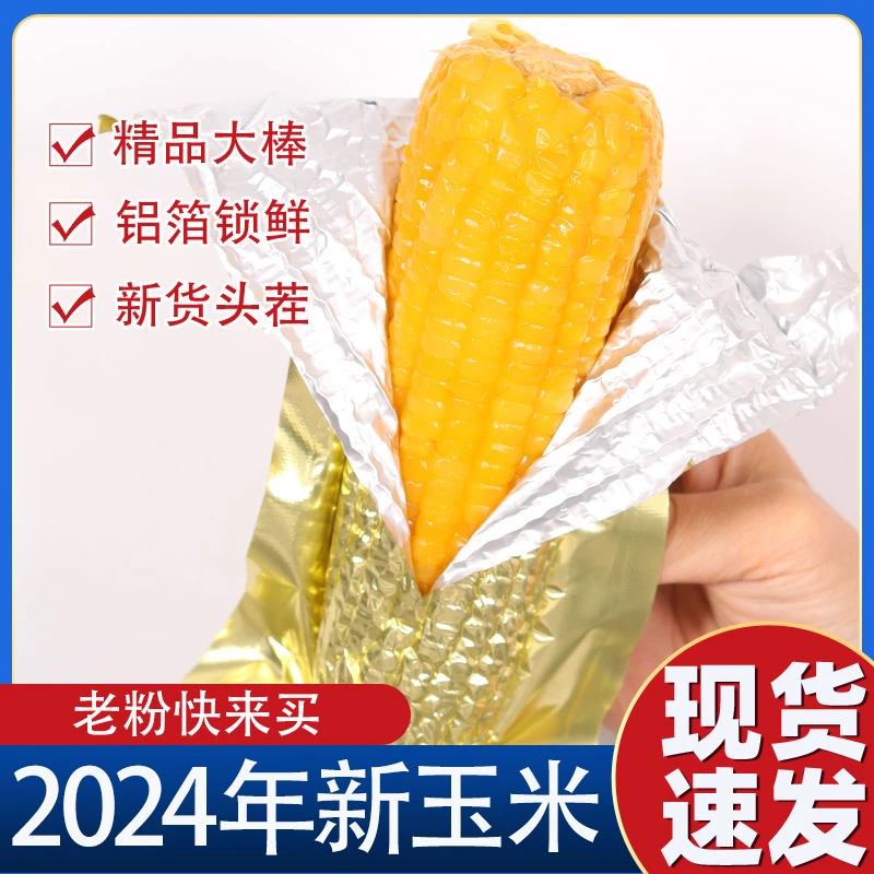 【试吃2根】2024年东北黄糯玉米锡纸包装 12根大棒净重7~8斤