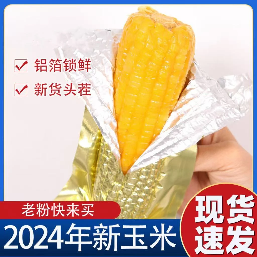 【8-10只】东北黑土黄糯玉米 香甜软糯 铝箔锁鲜 均重260-300g随机