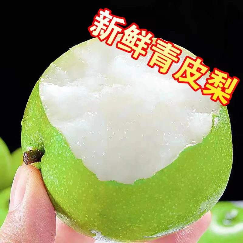 正宗砀山青皮蜜梨包邮脆甜多汁当季新鲜梨砀山蜜梨