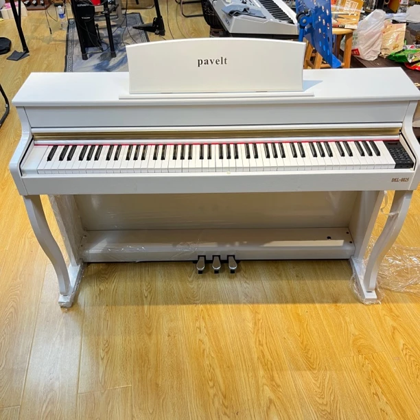 帕尔维特初学者电钢琴