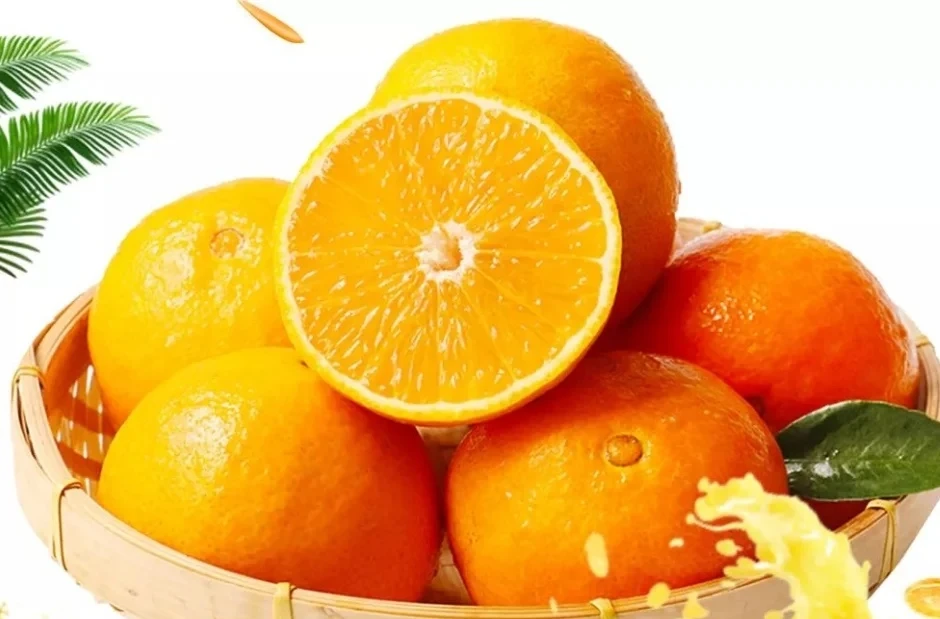 普   红美人果冻橙（一斤）