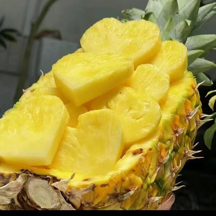 金钻凤梨 （一只）香甜嫩