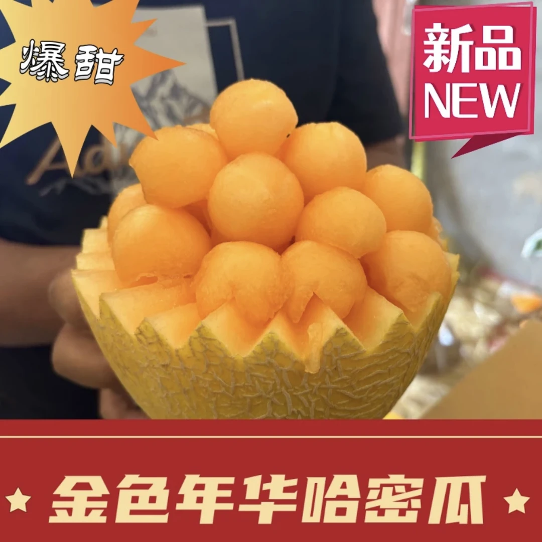 甘肃民勤蜜瓜黄金哈密瓜金色年华挚爱当季新鲜水果产地直发
