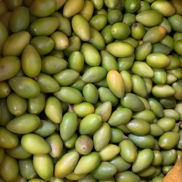 本地老树翠香橄榄酥香脆无渣一斤装