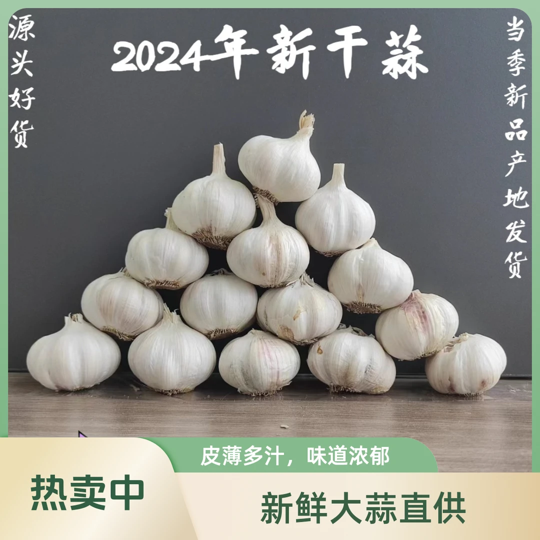 【农家新干蒜】2025新干蒜  紫白皮多瓣蒜 大蒜头坏果包赔