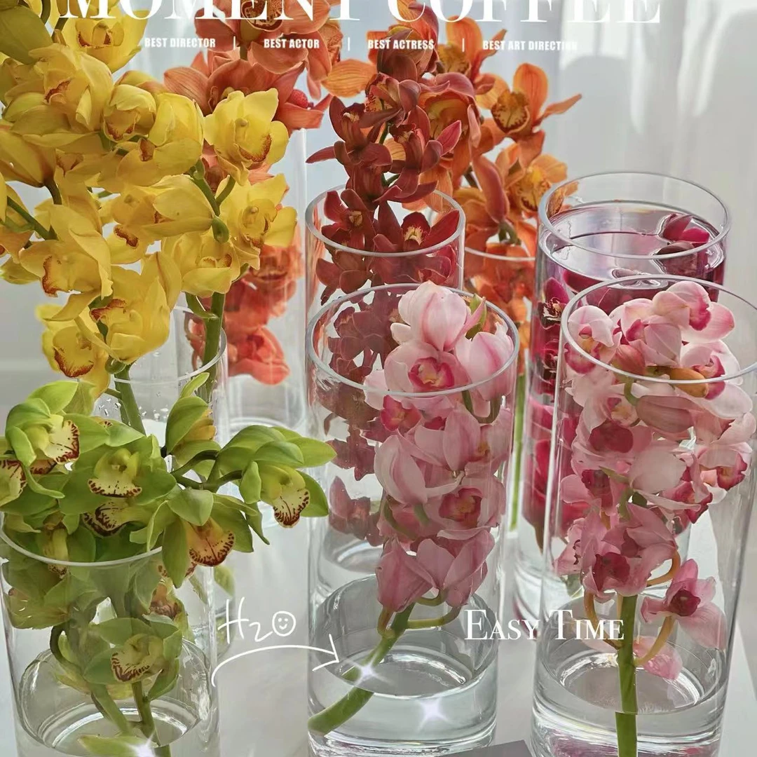 【花伴优选】A级大花蕙兰“高贵而淡雅” 花伴高端花材 云南鲜花