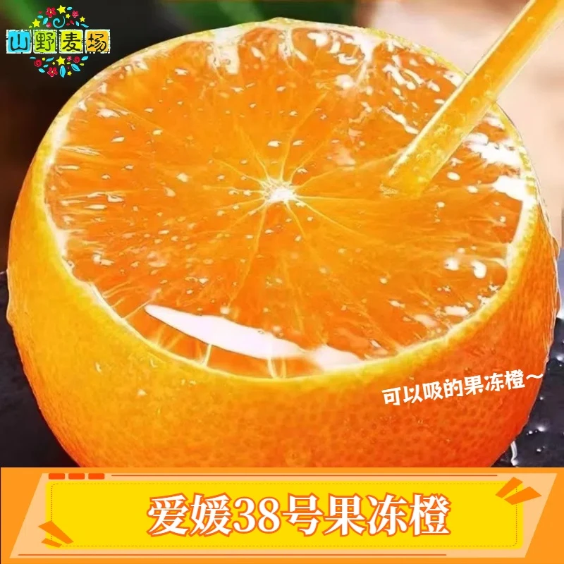 【带箱5斤】四川爱媛果冻橙单果65-70mm当季新鲜水果15-18个头茬果
