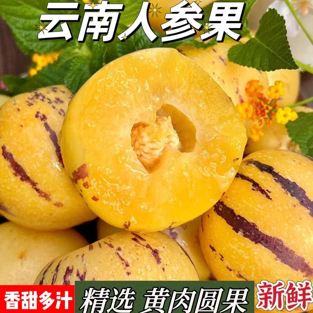 【树上熟圆果】云南石林人参果黄心黄肉大果特大果超甜水果整箱批发