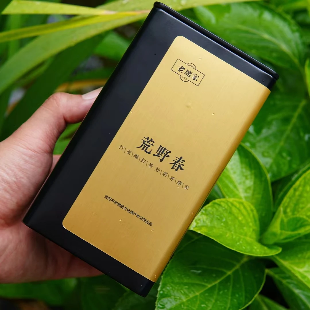 老席家2024年新茶信阳毛尖【荒野春】口粮茶自己喝 高山野茶