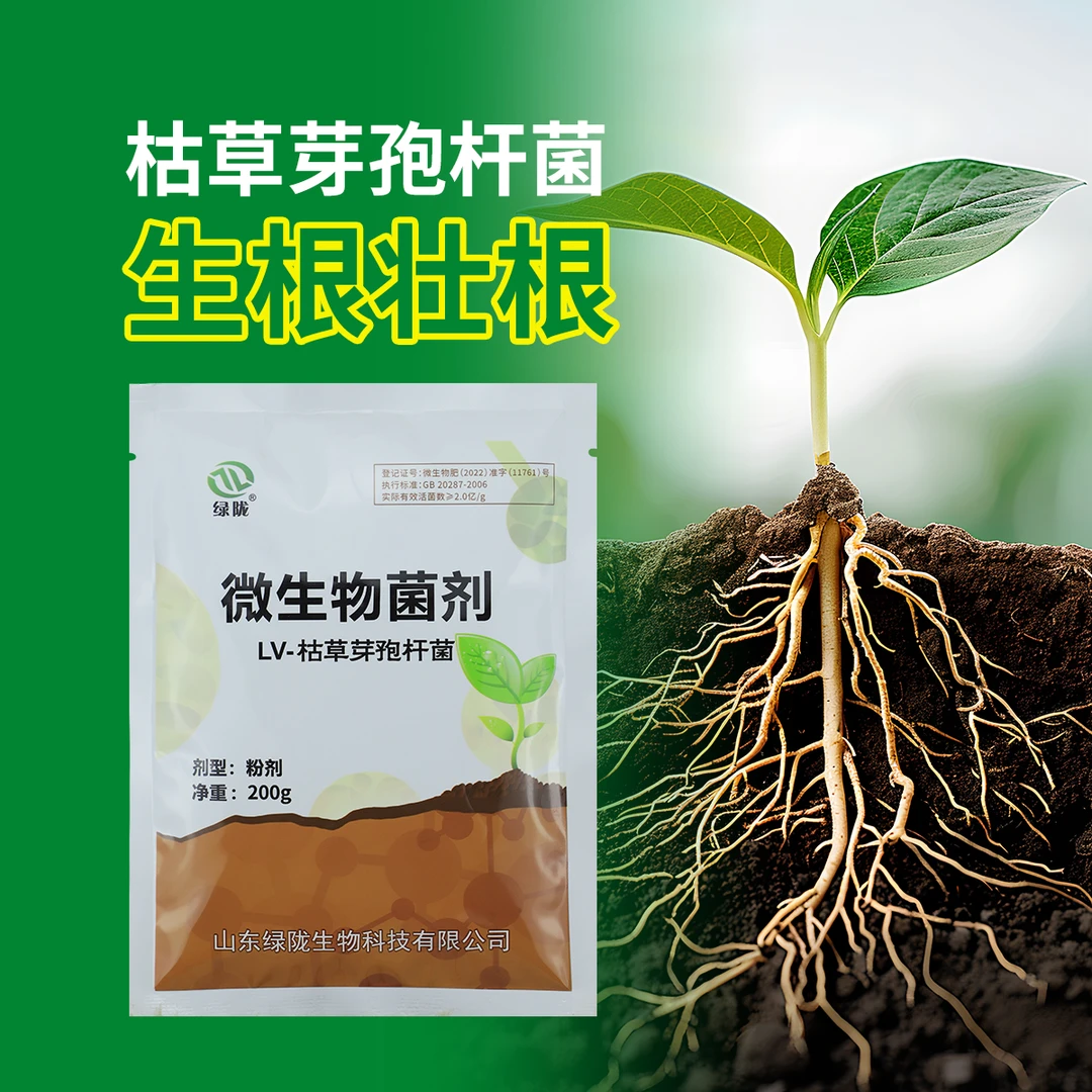 枯草芽孢杆菌粉剂厂家花生植物用生根壮苗营养改土微生物菌剂