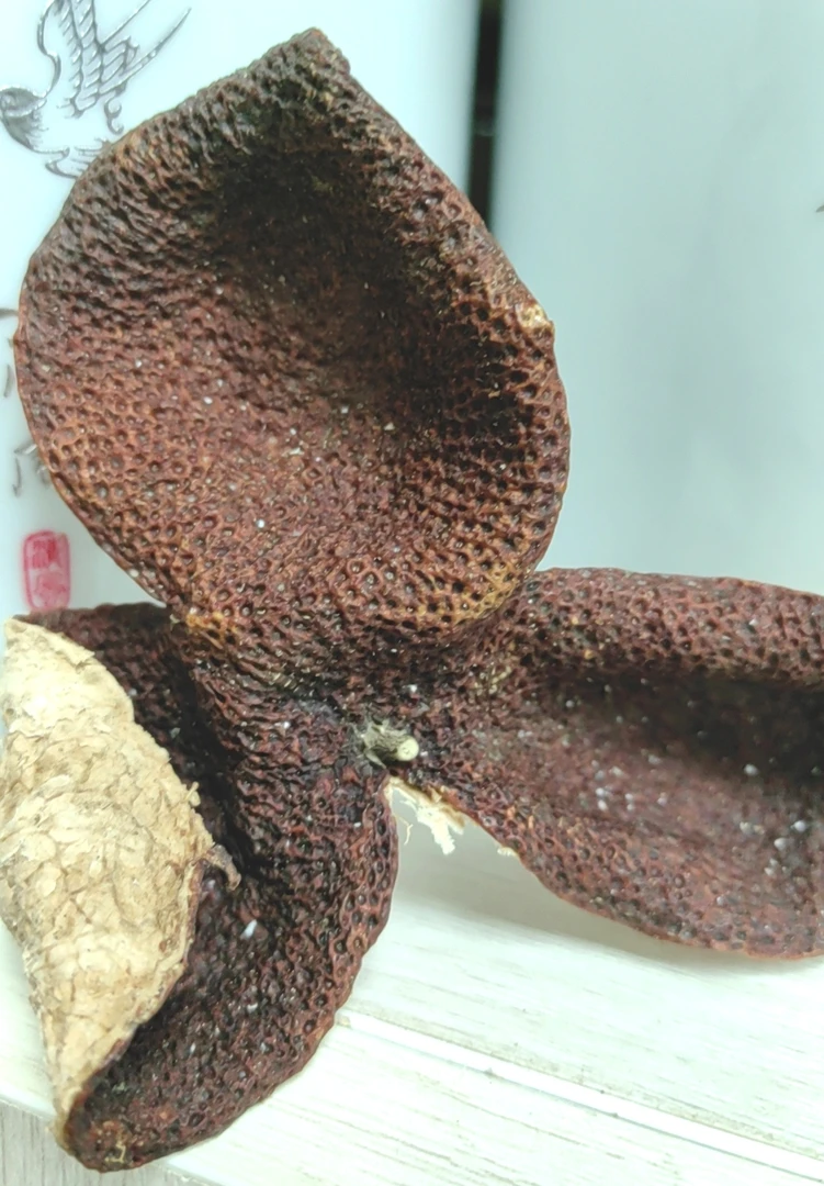 2022年东甲石墩围大种油身圈枝大红皮