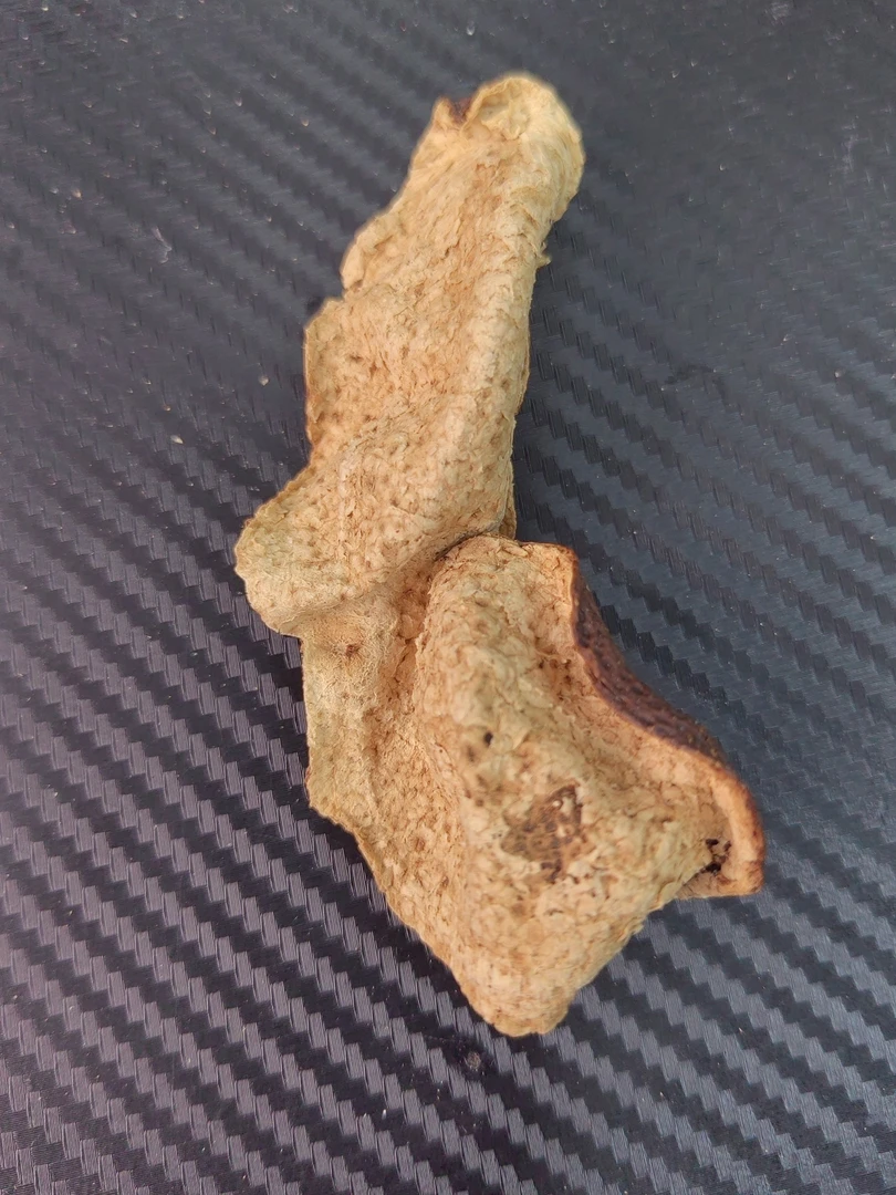2017年大洞05号（大种油身）圈枝大红皮角皮