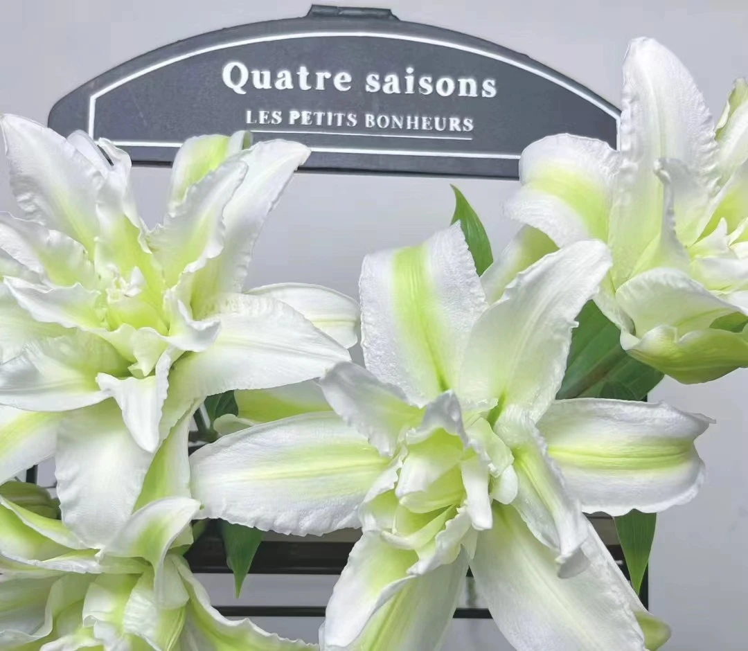 随机一束高品质鲜花！