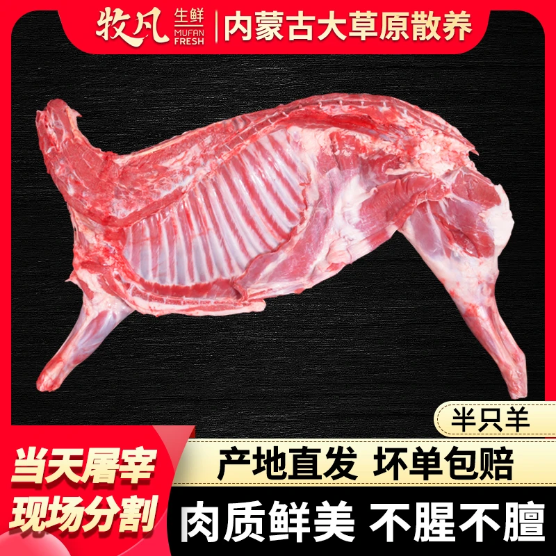 散养半只羊-内蒙古草原散养羔羊10斤装-生鲜羊肉清炖红烧新鲜鲜嫩