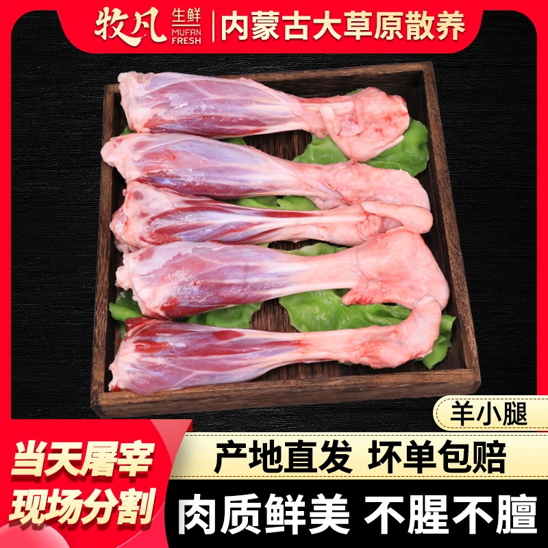 羊小腿-内蒙古草原散养羔羊肉-清炖红烧红焖小腿